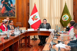 1269362-pagina-gob-pe (1)