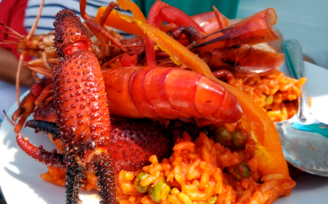 1269365-pagina-gob-pe (1)