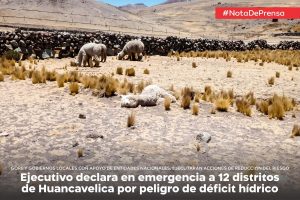 12distritos 12distritos