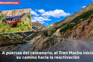 centenario-tren