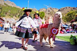 homenaje-alpaca