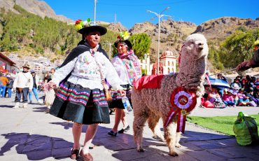 homenaje-alpaca