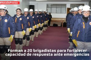 1440711-brigadistas 1440711-brigadistas
