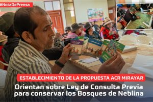 BOSQUES-neblina BOSQUES-neblina