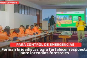briga-forest briga-forest